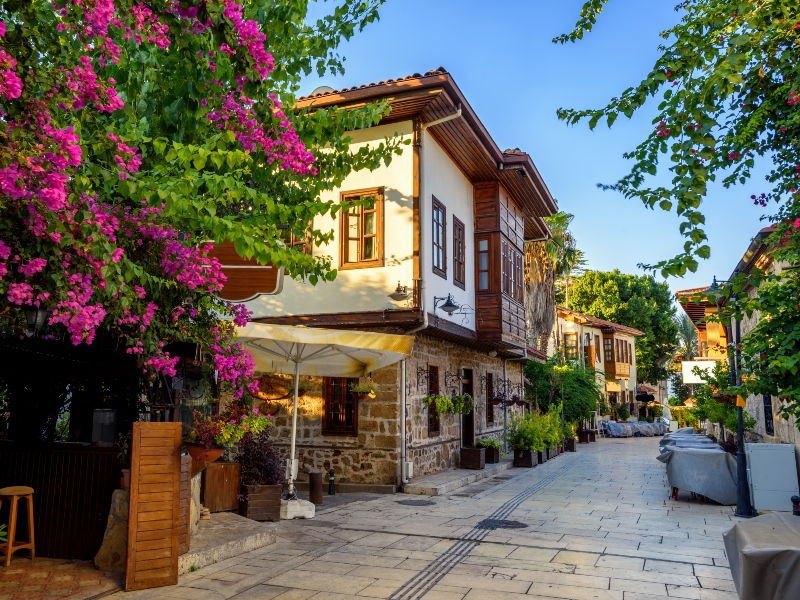 �������... ������ �������� ������ ����� أنط%D